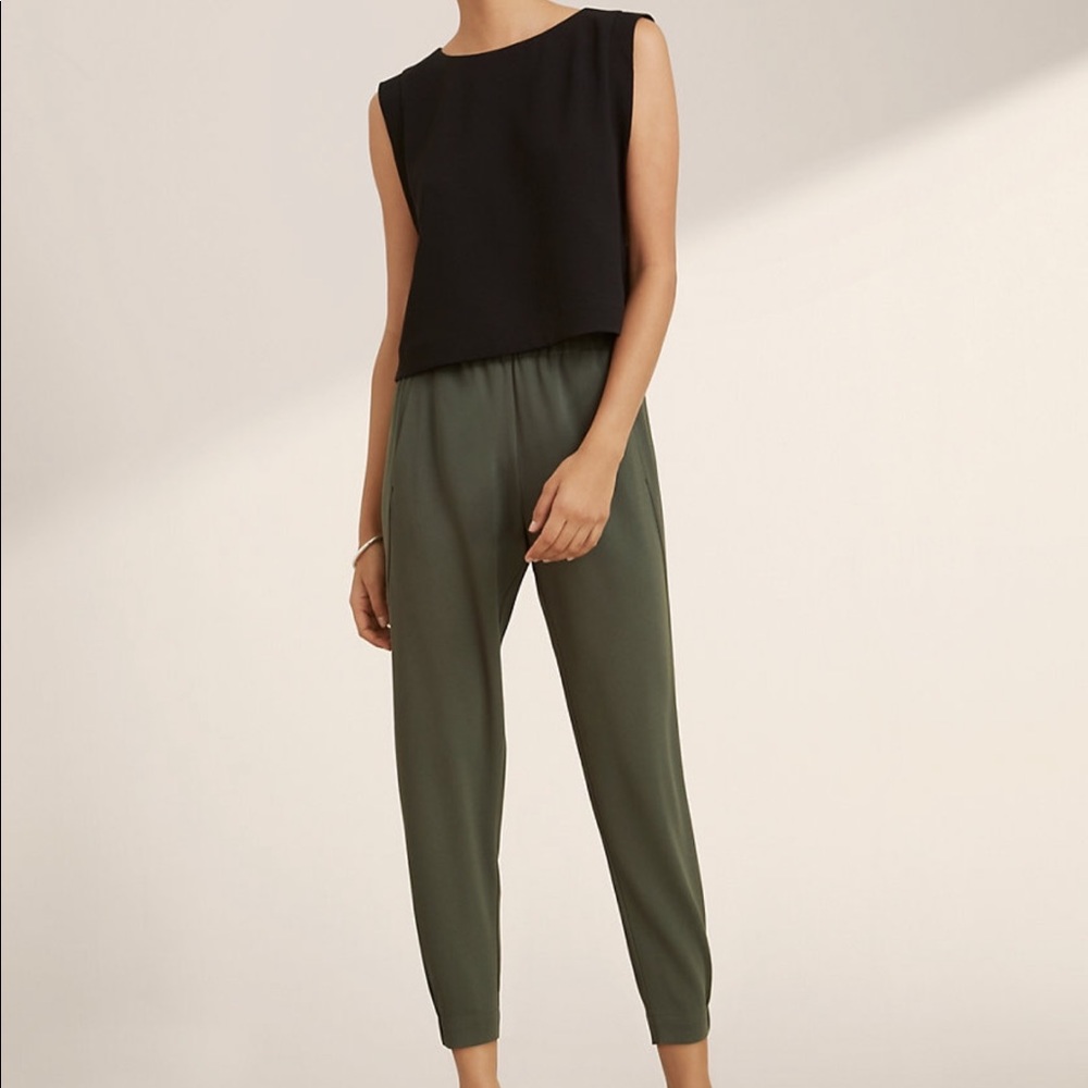 Aritzia pants